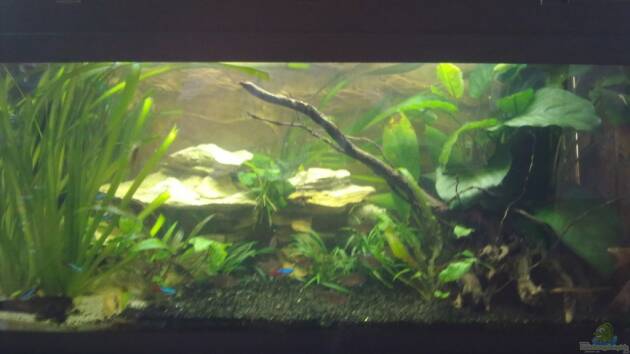 Zum Beispiel The Beginning AUFGELÖST