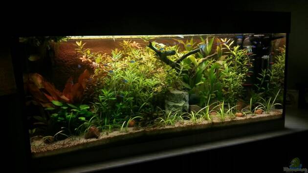 Zum Beispiel Usedom Becken