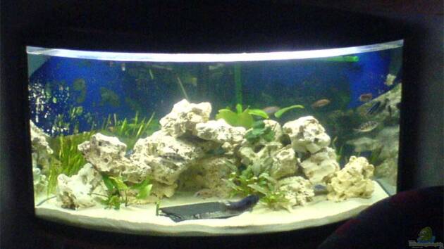 Zum Beispiel Becken 3024