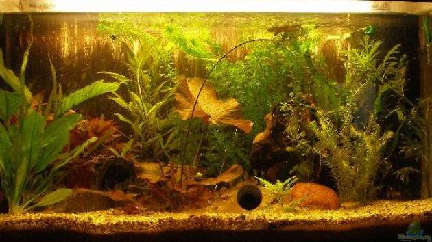 Zum Beispiel Becken 3582