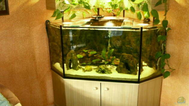 Zum Beispiel Becken 794