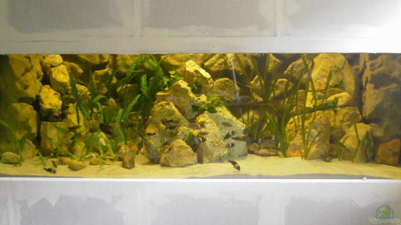 Aquarium Hauptansicht von Becken 1350