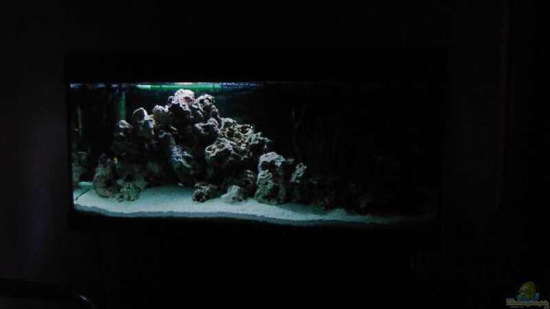 Aquarium Becken 233 von Andre Hofsäss (3)