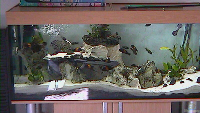 Aquarium Hauptansicht von Becken 335