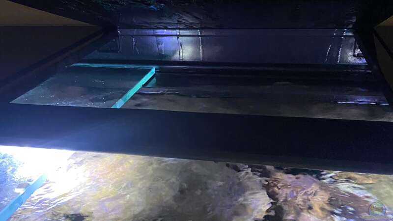 Technik im Aquarium Mbuna Felszone von Fab! (9)