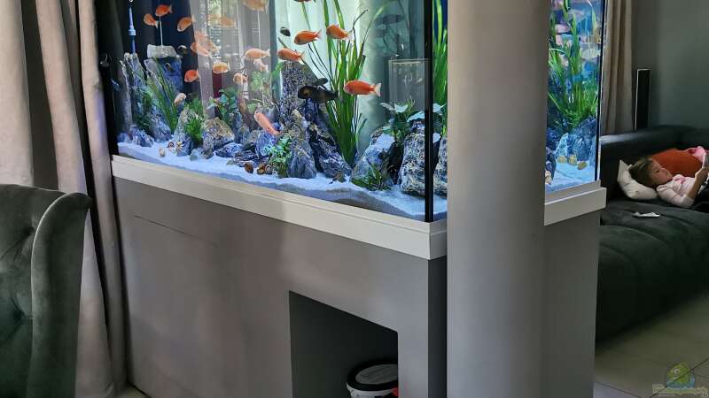 Aquarium als Raumteiler zwischen Ess- und Wohnbereich von Ezi13 (1)