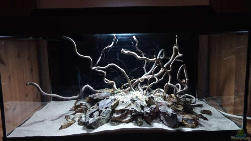 Dekoration im Aquarium 54er Scape / Wood-Stone von Torsten Bullmahn (14)