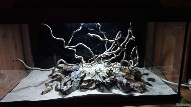 Dekoration im Aquarium 54er Scape / Wood-Stone von Torsten Bullmahn (18)