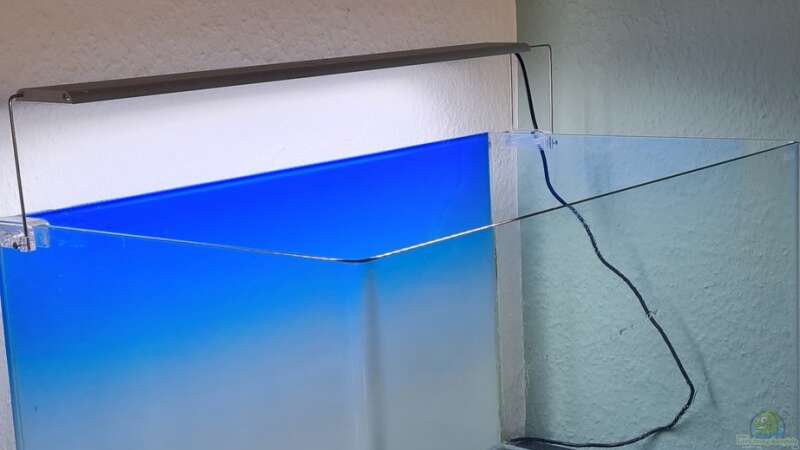 Beleuchtung und leeres Blau Aquarium von David Schneider Aquaristik (19)