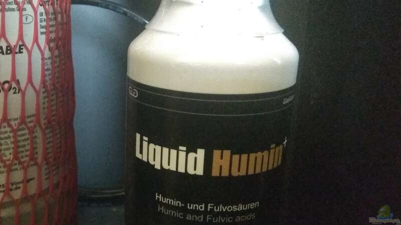 Liquid Humin Zugabe nach dem wöchentlichen Wasserwechsel von CzudemP (30)