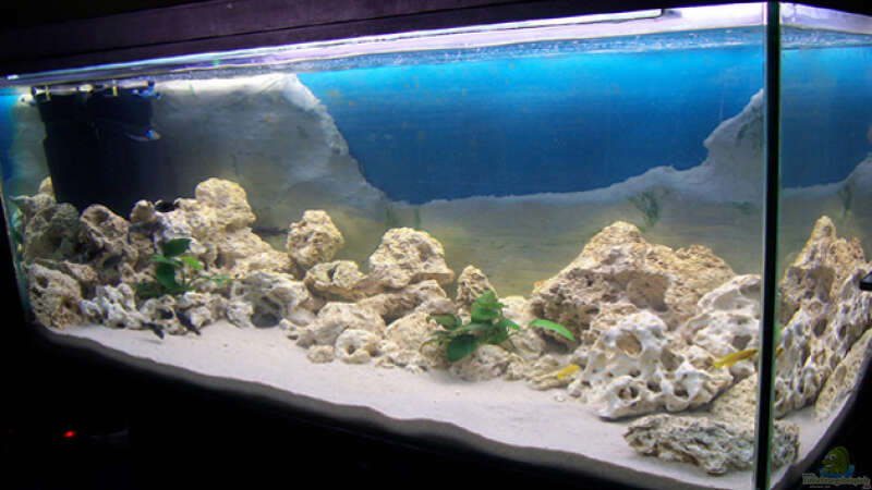 Aquarium Ansicht 1