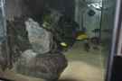 aquarium-von-ayahuasca-i-love-stones-%3B%29_Länge von Links