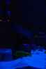aquarium-von-ayahuasca-i-love-stones-%3B%29_linker spot