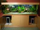 aquarium-von-carsten-klein-rio-pampo_