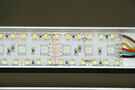 aquarium-von-wolle73-malawi-world_LED Balken