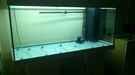 aquarium-von-aquaworld-gesellschaft_Filter u. Heizstab-bodenfluter eingebaut. in der ruwel filterkammer (wegen Glasgarantie) 