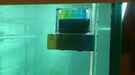 aquarium-von-aquaworld-gesellschaft_JBL PH u. CO2 Dauertest wie ich finde ein sehr praktisches gute kleine unauffälliges Gerät :) Gleichzeitig CO2 und PH Wert