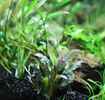 aquarium-von-saskia-berkemeier-becken-21656_