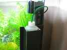 aquarium-von-jens-nessenius-dennerle-30l-nano-cube_Dennerle Co2 Bio