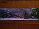 aquarium-von-antonio-di-simone-becken-22286_