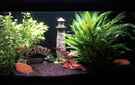 aquarium-von-bvb-barbe-feierabendentspannung-%3B%29_
