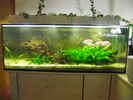 aquarium-von-christian-fries-575er_