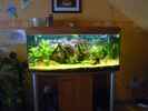 aquarium-von-lars-gumpricht-becken-22387_300L Becken.