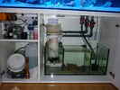 aquarium-von-schwing-schwings-reef_
