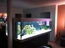 aquarium-von-jennifer-clee-becken-9198_