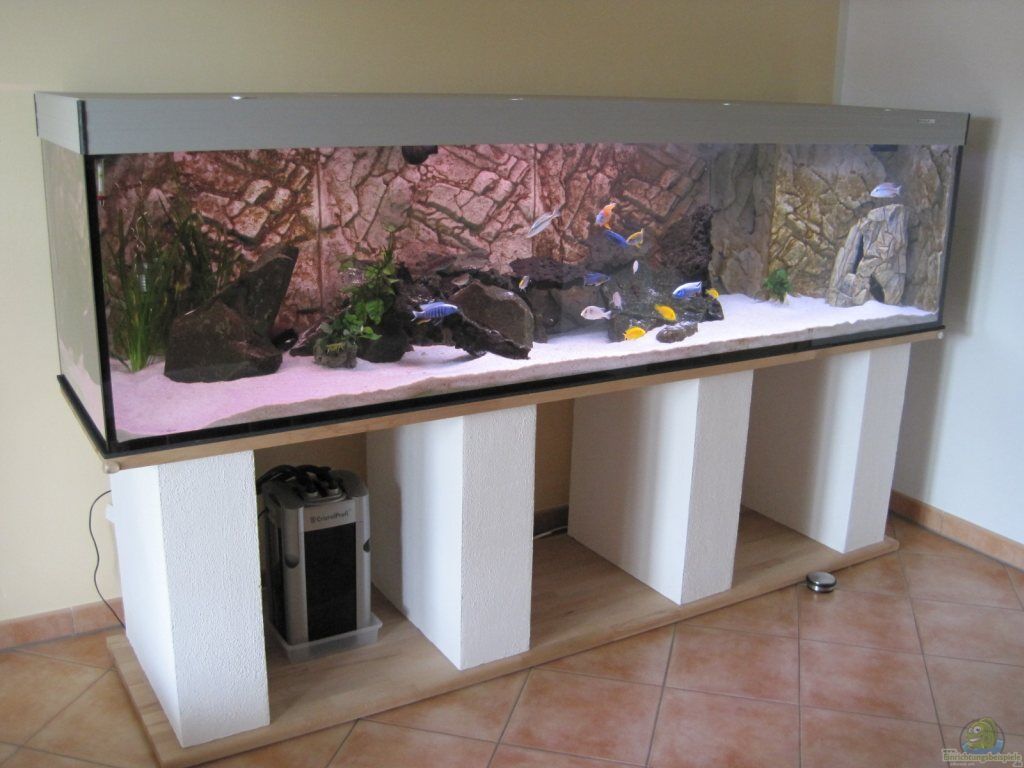 Aquarium von baule2002 baule`s Non Mbuna 900 ltr.