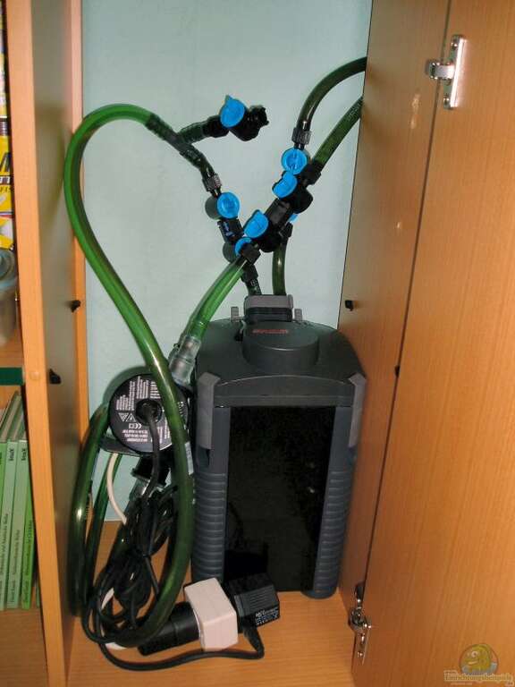 Aquarien mit UVKlärer Aquarium Einrichtungsbeispiele