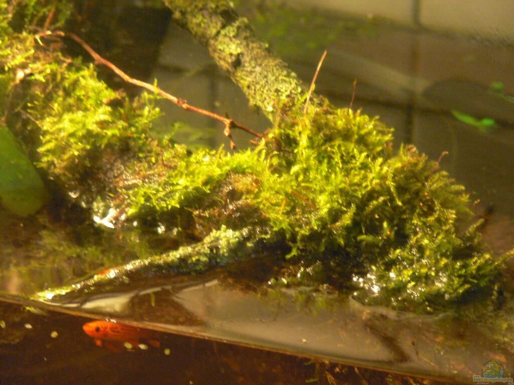 detail der hoelzer mit kap lopez mann__e1613f35d6ae72bbcdfbee7ad556e346