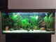 Komplett 240L Aquarium mit Eheim Alu-Abdeckung, Filter, Unterschrank etc.