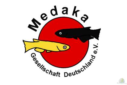Logo Medaka Gesellschaft Deutschland e. V.