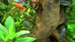 Video Fischimpressionen von Bazzi (052BLkgVrC0)