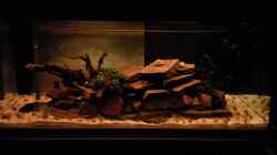 Video Selbstgebaute LED Beleuchtung "King of DIY Style" - Aquascape von Jonas (Trancemania) (Mxp8TjcHbHc)
