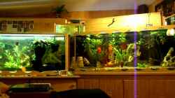 Video Aquariumanlage mit 3920 Liter MP4 von Ulrich Sauerhering (Phdt8ROhZE0)