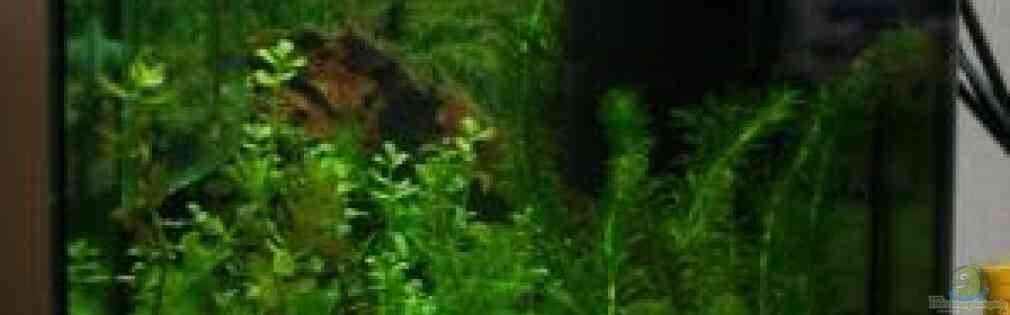 Exemple Nombre 13255