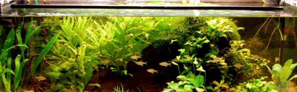 Exemple Nombre 13357