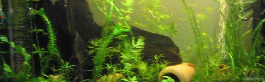 Exemple Nombre 13497