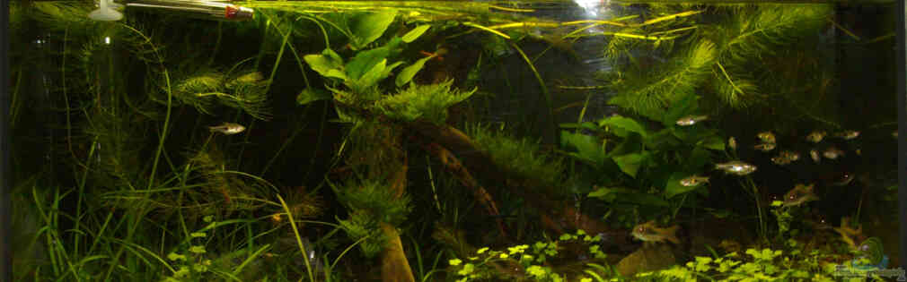 Exemple Nombre 13611