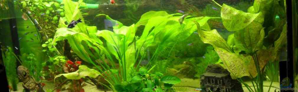 Exemple Nombre 14218