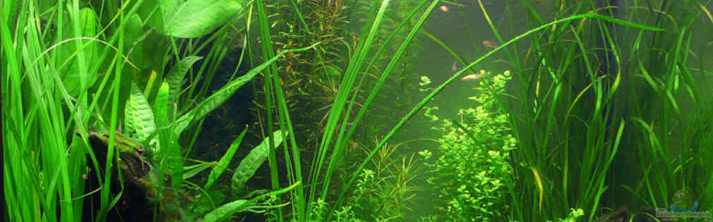 Exemple Nombre 14524