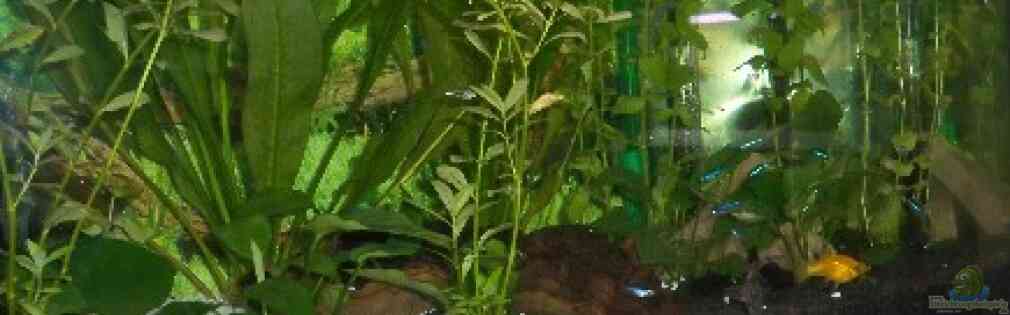 Exemple Nombre 14878