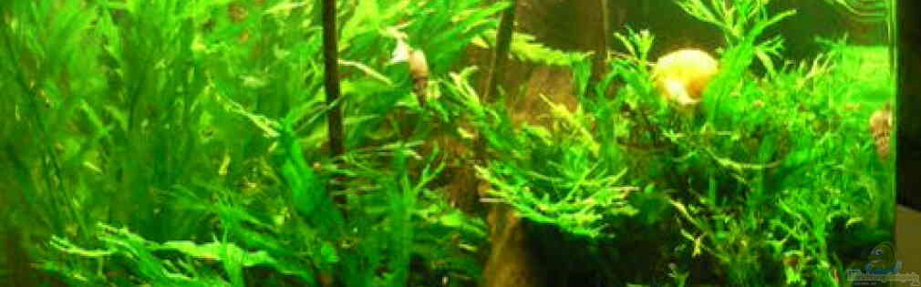 Exemple Nombre 14915