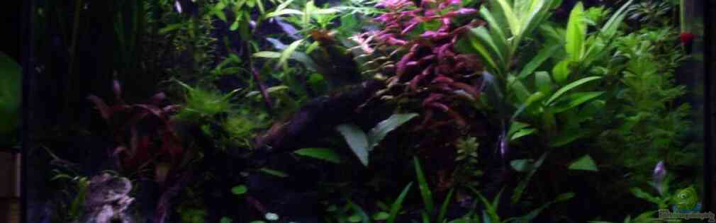 Exemple Nombre 15062