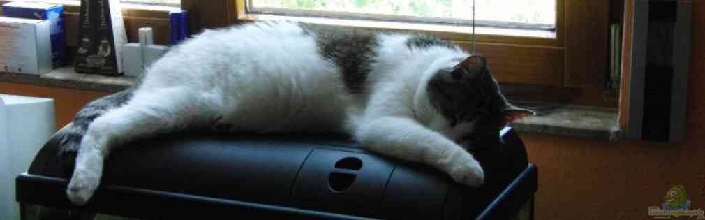 Exemple Nombre 15254