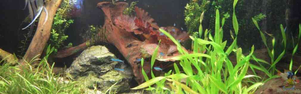 Exemple Nombre 15441