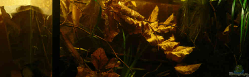 Exemple Nombre 15519