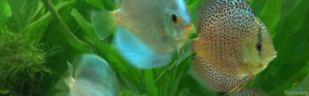 Exemple Nombre 15523